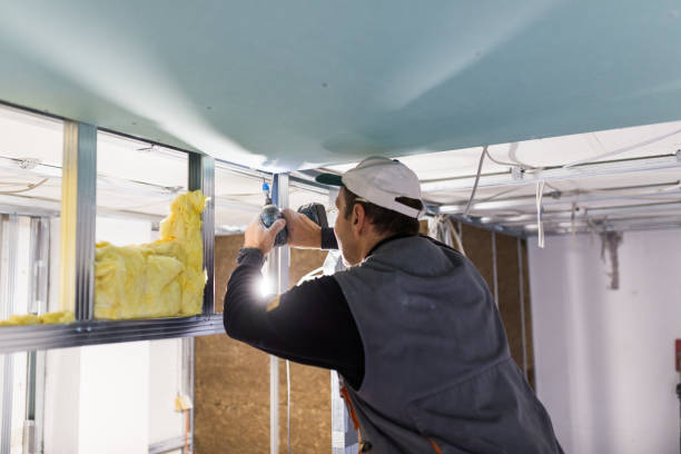 Best Fireproof Insulation  in Lansing, MI